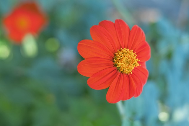 吸引了世界 吸引了世界