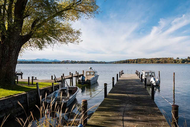 为这场比赛 为这场比赛