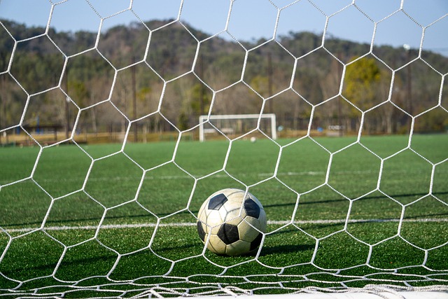 球运动中的 球运动中的