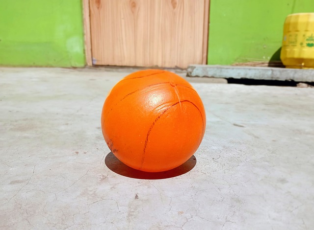 育领域的一 育领域的一