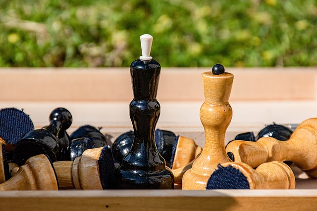 公正性和透 公正性和透