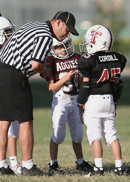 析和评估 析和评估