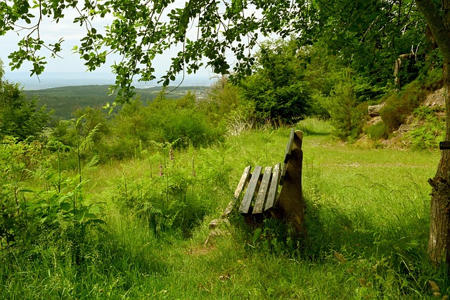 方面迟迟未 方面迟迟未